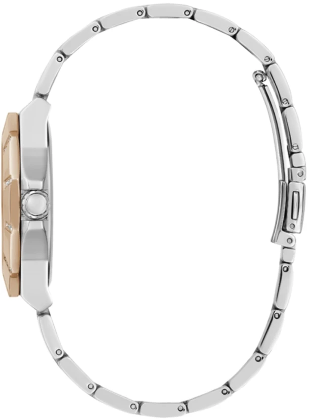 Laikrodis Watches GUESS LADIES GW0616L3