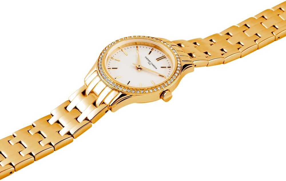 Laikrodis PIERRE CARDIN moterims CF.0607.SE.G (30MM)