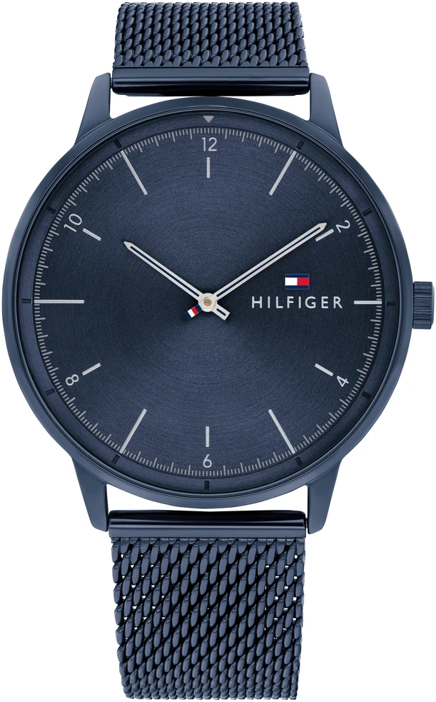 Laikrodis TOMMY HILFIGER 1791841. Kvarcas, Spalva mėlyna. Žmogus.