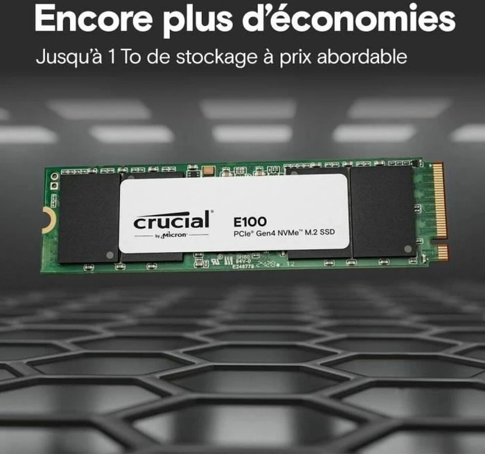 SSD diskas Crucial E100 480GB M.2 2280 PCI-E x4 Gen4 NVMe (CT480E100SSD8)
