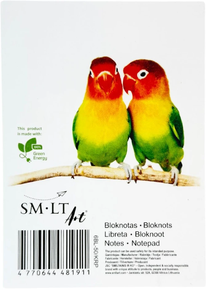 Bloknotas, plėšomas SMLT, A6/50, langeliais 0723-007