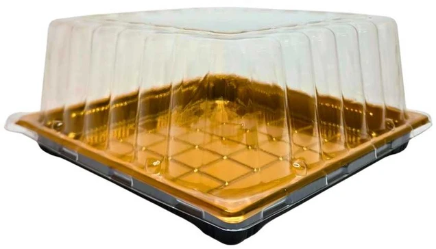 Plastikinis padėklas su dangčiu 1vnt užkandžiams 18 x 18 x 9,5 cm