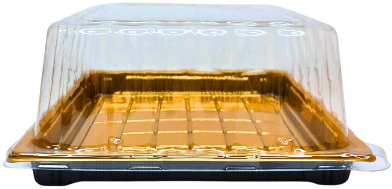 Plastikinis padėklas su dangteliu 1vnt užkandžiams 22 x 22 x 10 cm
