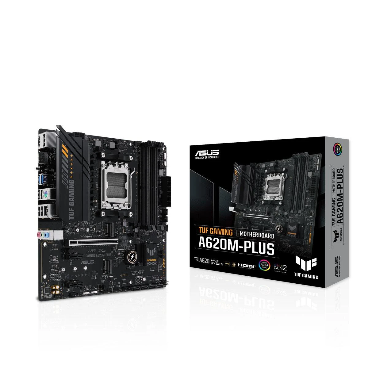 Pagrindinė plokštė Asus | TUF GAMING A620M-PLUS | Procesorių šeima AMD | Procesoriaus lizdas AM5 | DDR5 DIMM | Atminties lizdai 4 | Palaikomos standžiojo disko sąsajos SATA, M.2 | SATA jungčių skaičius 4 | Lustų rinkinys AMD A620 | Mikro-ATX