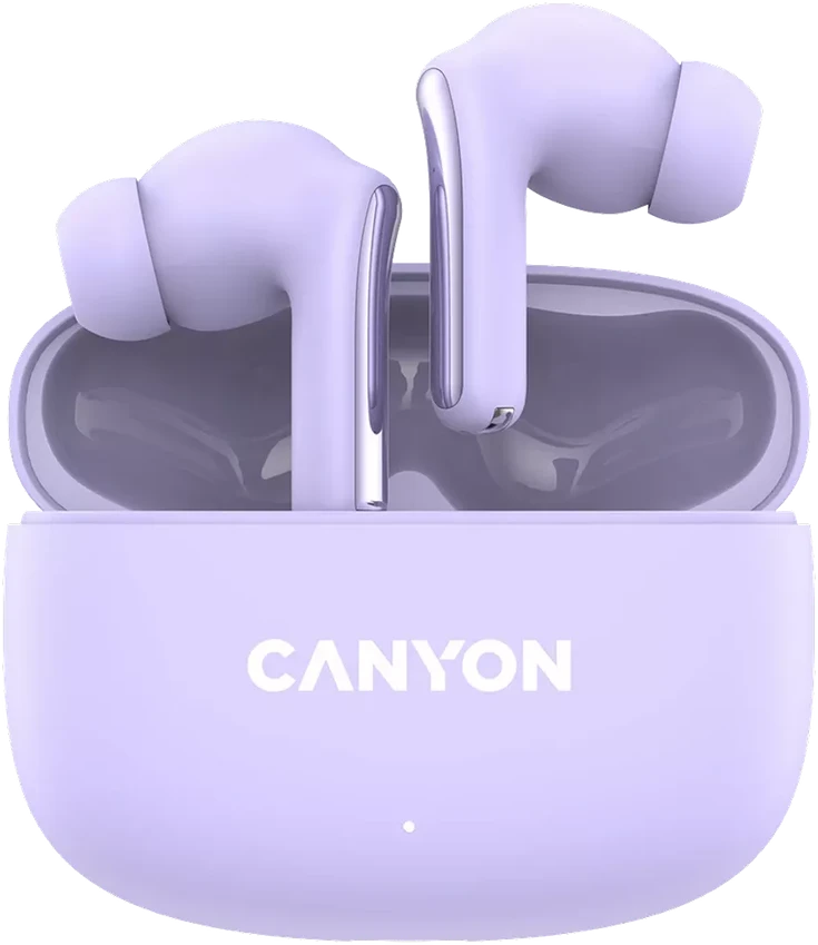 Ausinės Canyon OnGo 9, violetinės