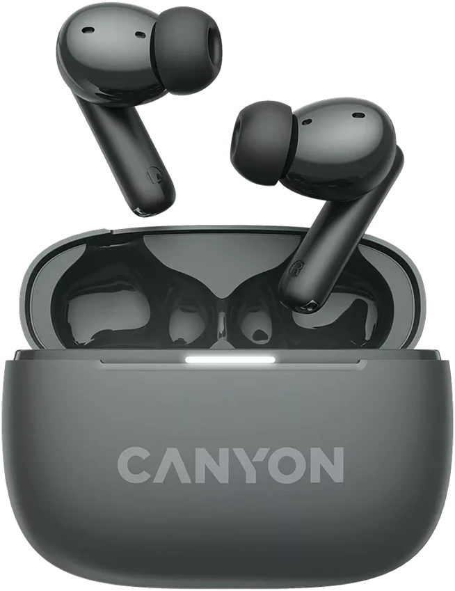Ausinės Canyon OnGo ANC TWS-10, Pilkos