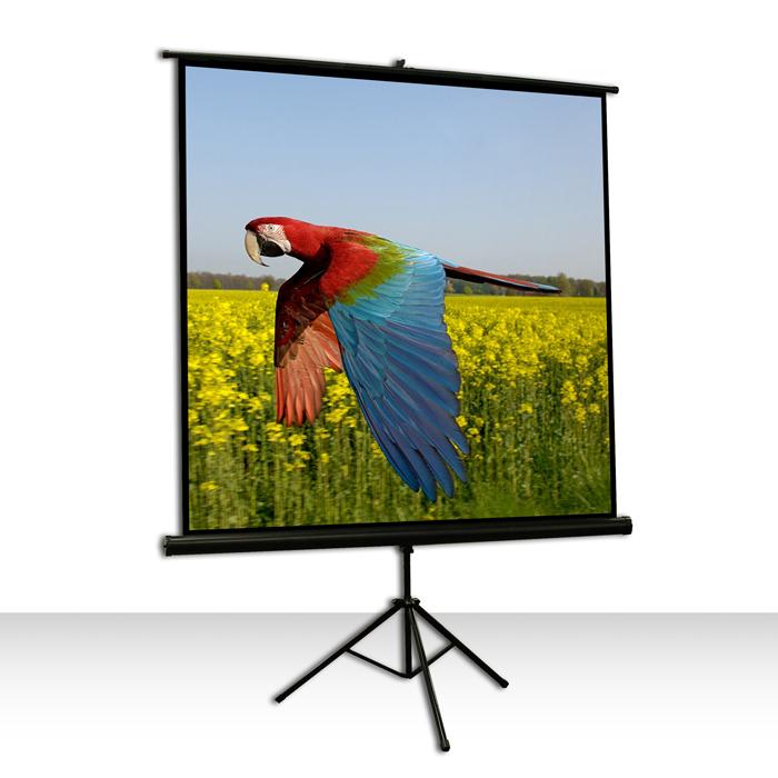 Celexon 1090016 Projektoriaus ekranas - projection screens (Juodas, Baltas, Juodas)