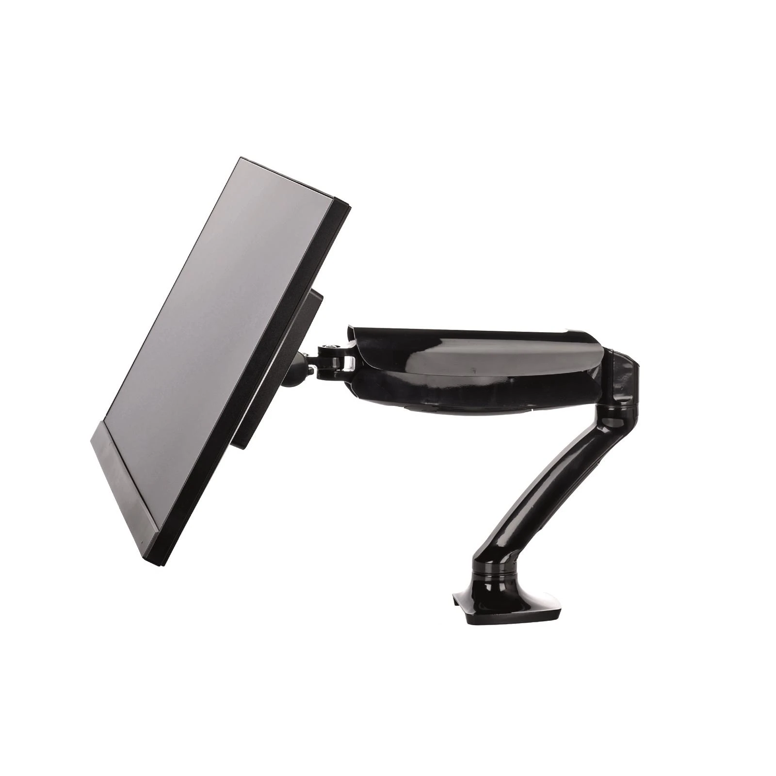 iiyama DS3001C-B1 monitoriaus laikiklis arba stovas 68,6 cm (27") Gnybtas Juoda