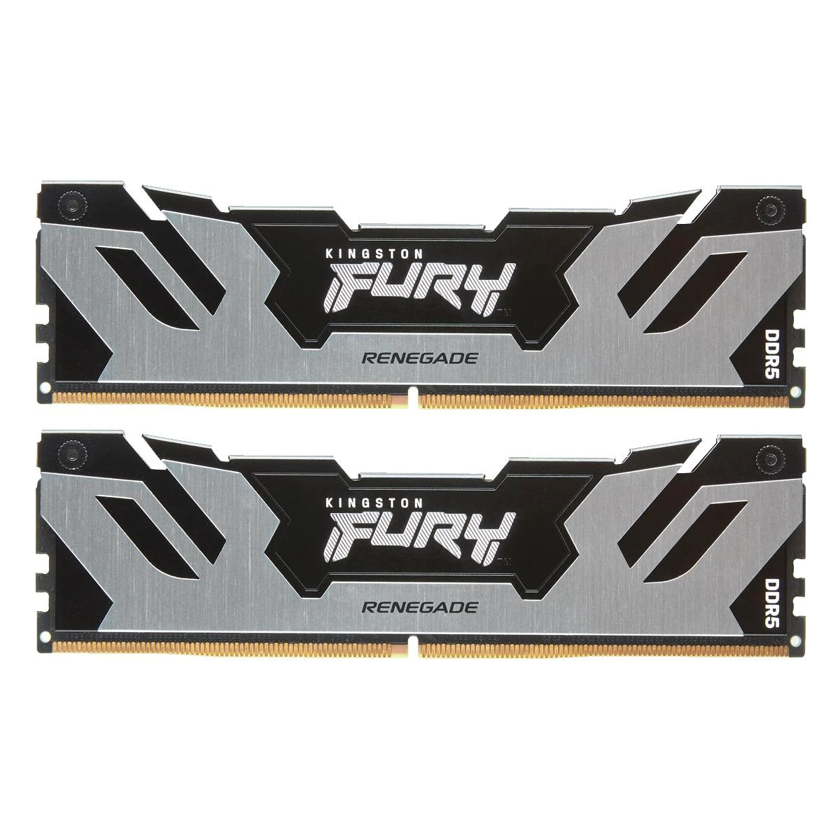 Kingston Fury Renegade DDR5 atminties modulis, pora
