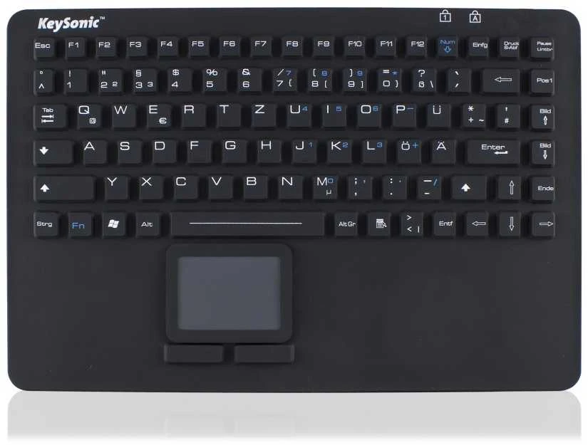 RaidSonic KEYSONIC KSK-5230 IN silikoninė klaviatūra su jutikliniu kilimėliu vandeniui atspari antimikrobinė industry antigrybelinė priemonė