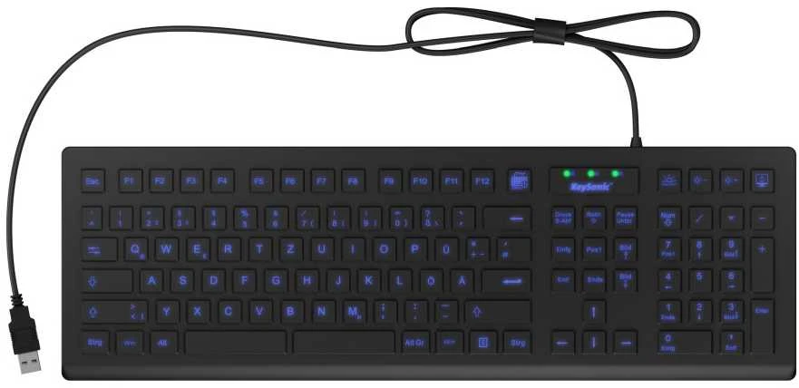RaidSonic KeySonic KSK-8031INEL-B (DE) klaviatūra Industrial USB QWERTZ German Juodas
