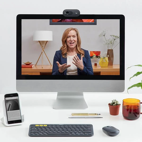 Logitech C505e HD Business Internetinė kamera, Graphite