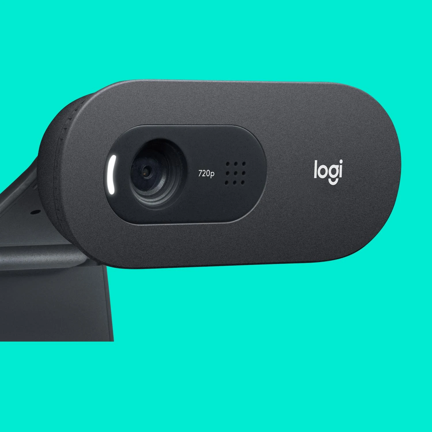 Logitech C505e HD Business Internetinė kamera, Graphite