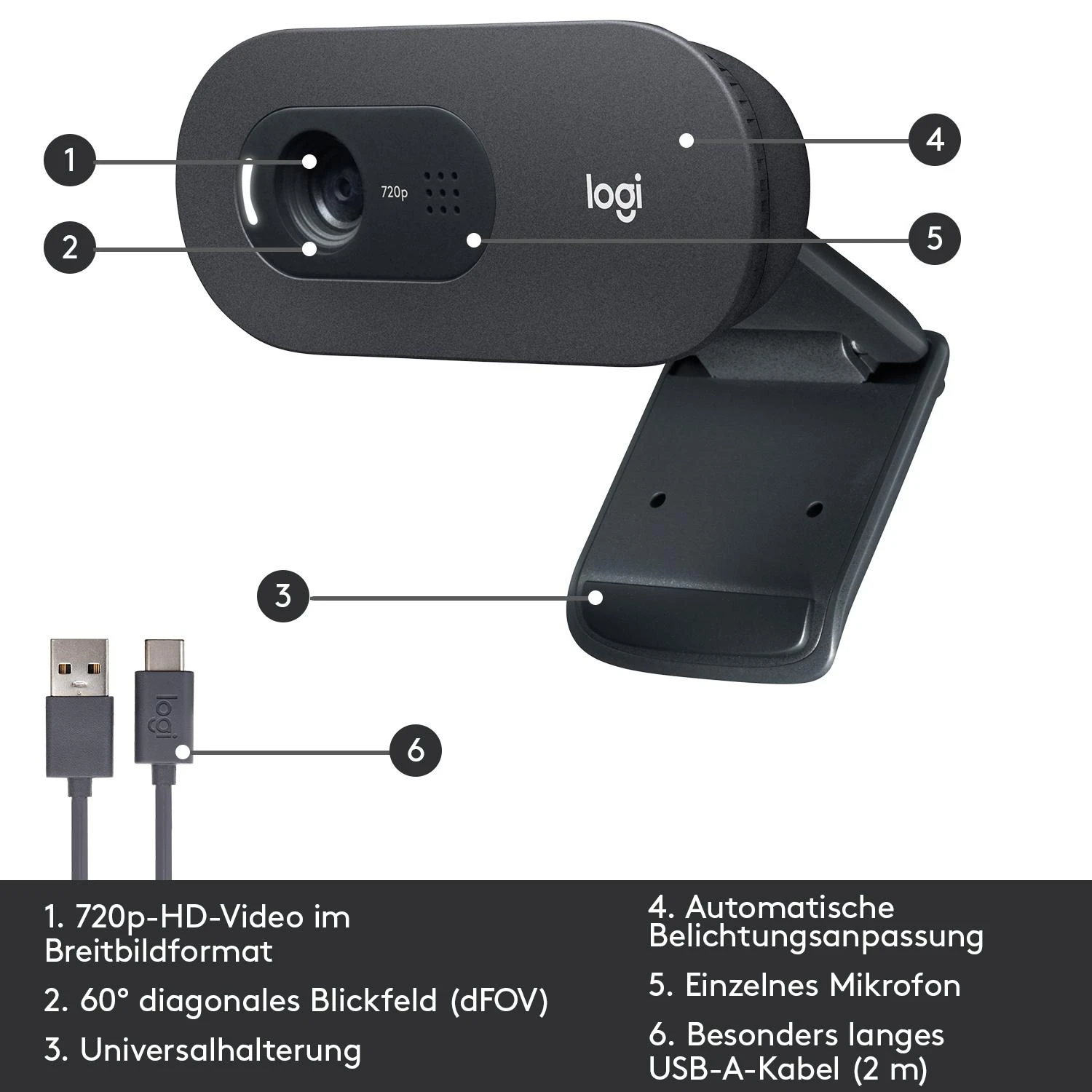 Internetinė kamera Logitech C505 HD webcam USB (960-001364)