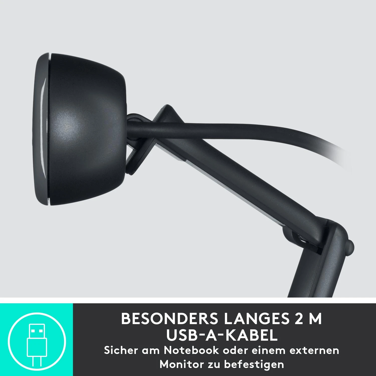 Internetinė kamera Logitech C505 HD webcam USB (960-001364)