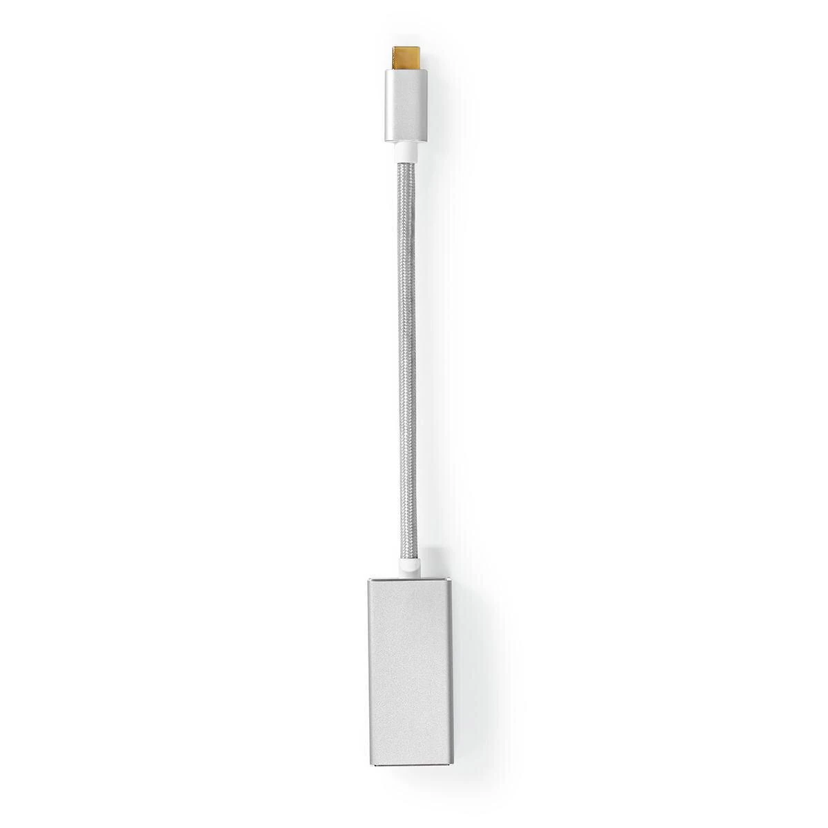 Sidabrinis USB-C į DisplayPort adapteris