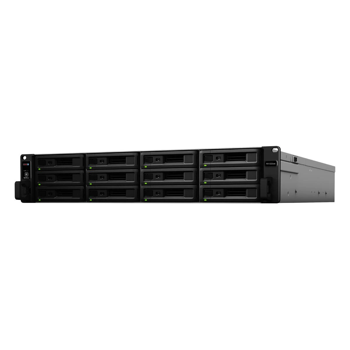 Synology RX1222sas 12 skyrių duomenų saugojimo įrenginys