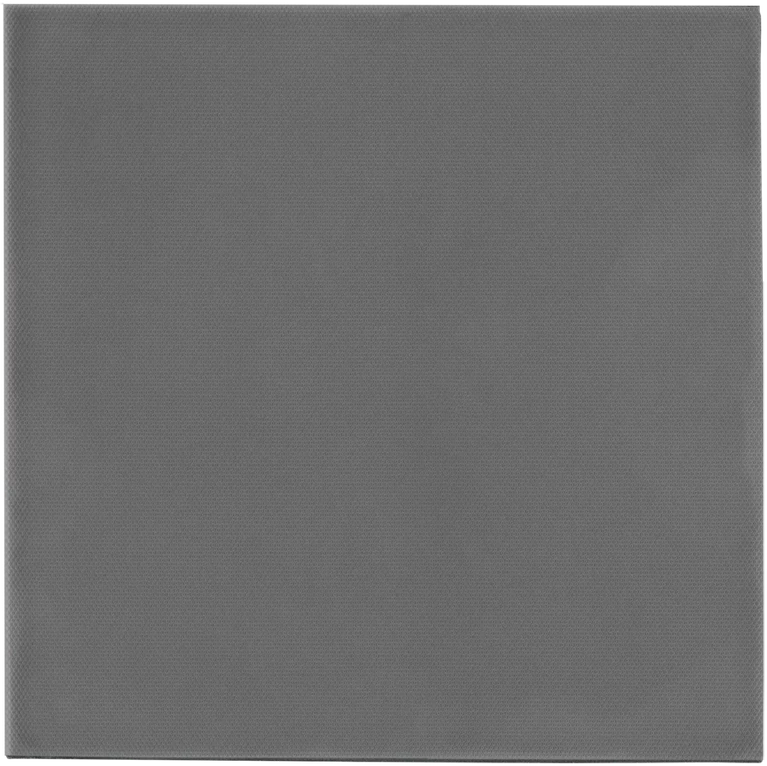 Thermal Grizzly „Minus Pad Extreme 2“ terminis kilimėlis – 100 × 100 × 2 mm