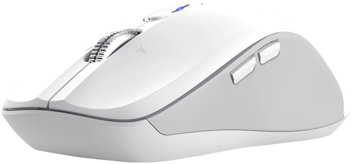 Trust 25674 pelė Universal Ambidextrous Bluetooth 3200 DPI