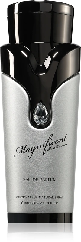 Armaf Magnificent Eau De Parfum 100ml