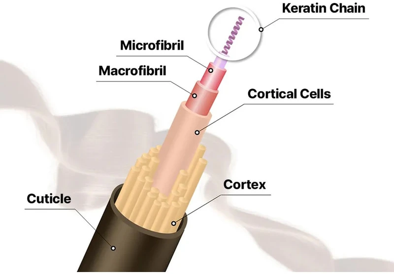 COSRX Peptide-132 itin tobulas plaukų sukibimą stiprinantis kondicionierius, 120 ml