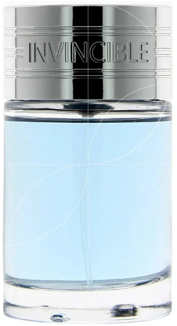 New Brand Parfums New Brand Perfumes Naujo prekės ženklo kvepalai Prestige Invincible tualetinis vanduo 100 ml (vyrams)