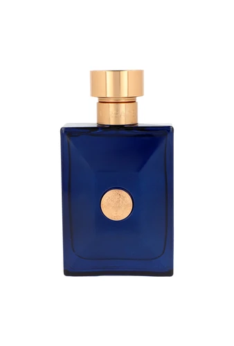 Kvepalai vyrams Versace Dylan Blue Pour Homme EDT, 100 ml