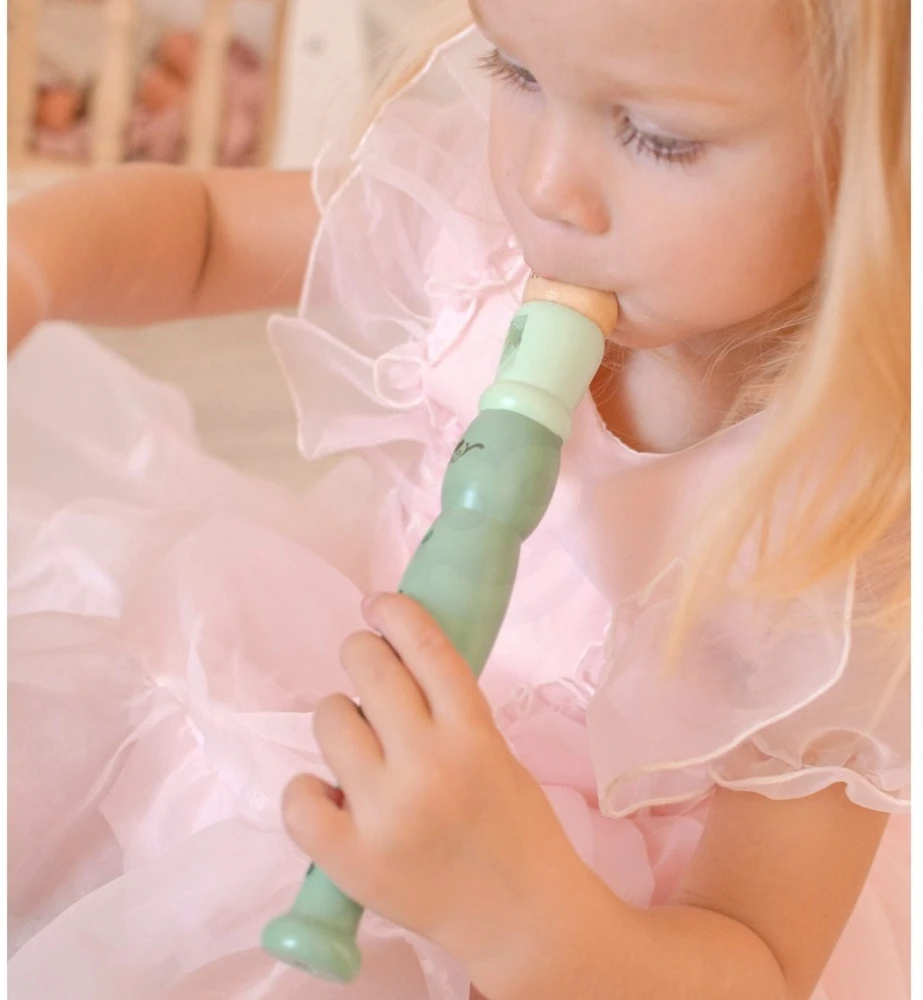 Muzikos instrumentų rinkinys Classic World, medinis