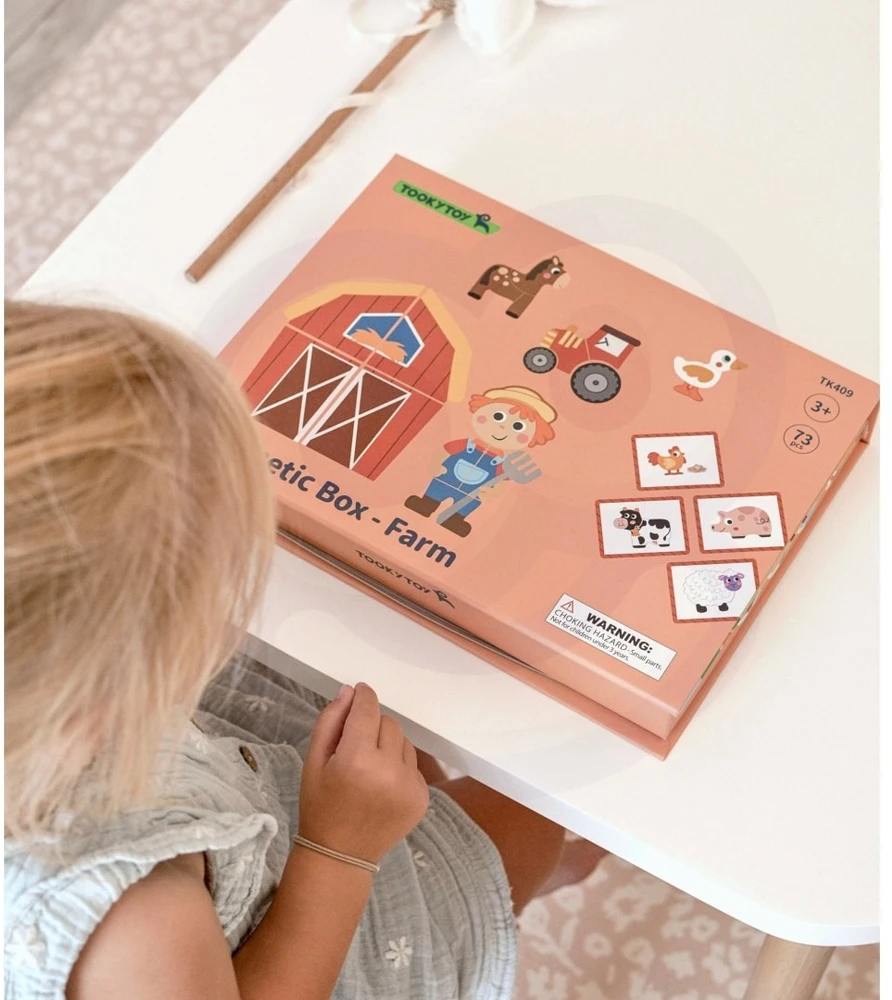 Tooky Toys Dėlionė magnetinė TOOKY TOY, 61 elementas