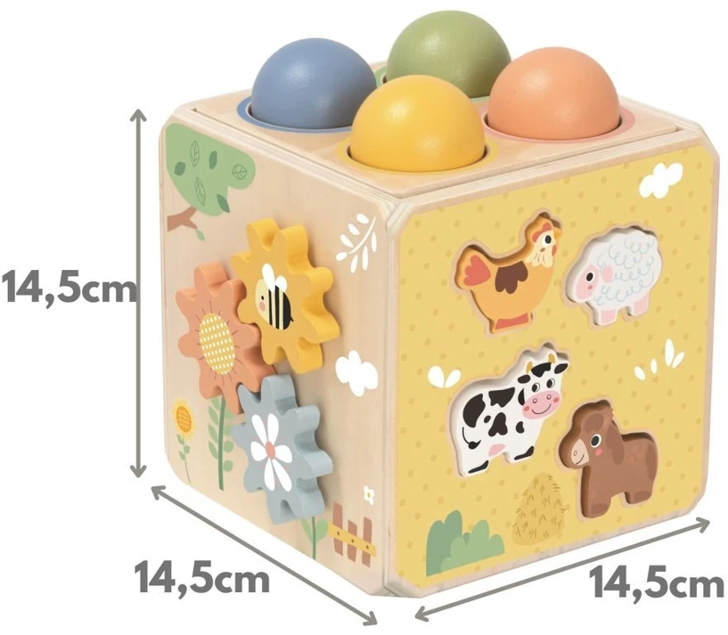 Tooky Toys Edukacinis kubas Tooky Toy, 5 viename