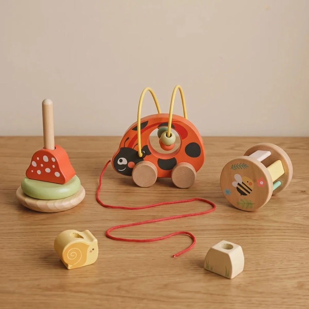 Tooky Toys Edukacinis rinkinys TOOKY TOY, 3 viename