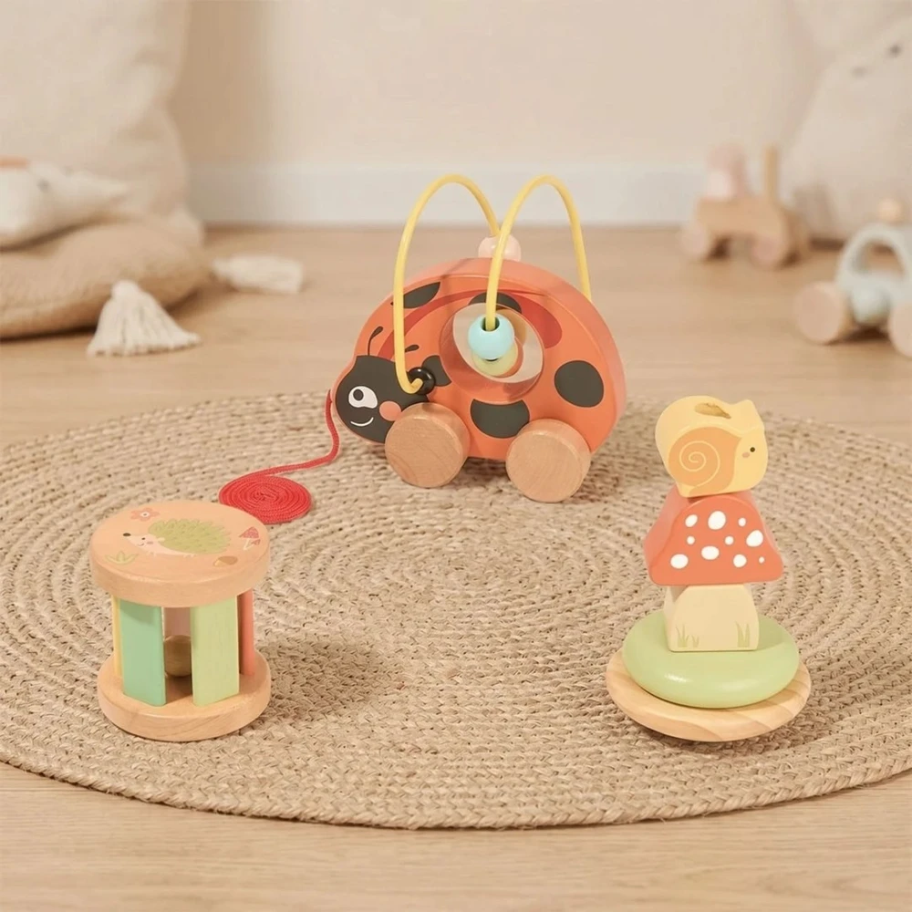 Tooky Toys Edukacinis rinkinys TOOKY TOY, 3 viename