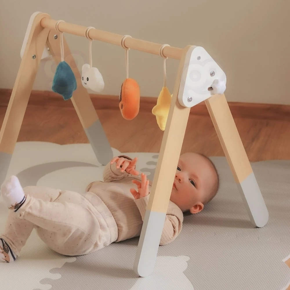 Viga Toys Arka kūdikiams VIGA PolarB, medinė