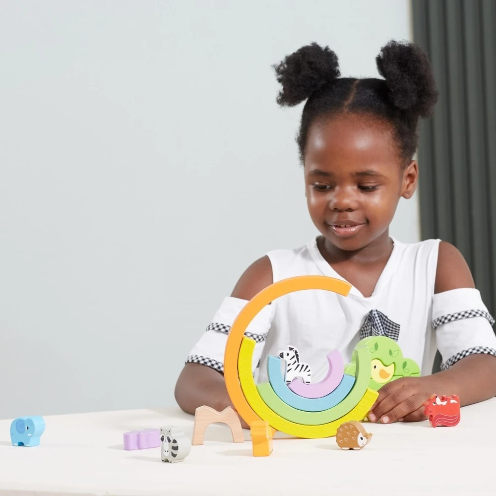 Viga Toys Dėlionė Montessori VIGA, medinė vaivorykštė