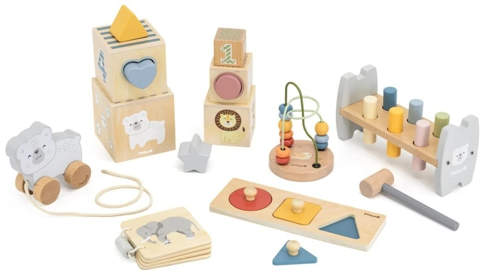 Viga Toys Edukacinis rinkinys VIGA, keli žaislai vienoje dėžutėje