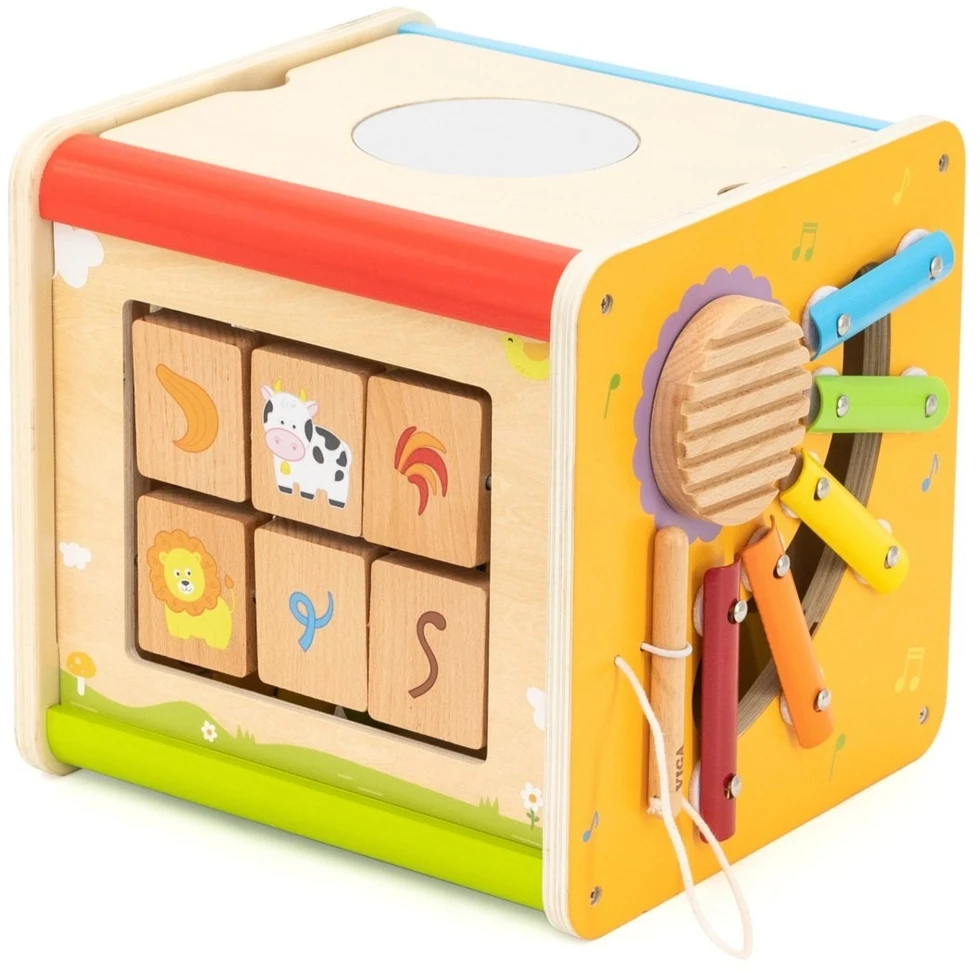 Viga Toys Lavinamasis kubas VIGA, daugiafunkcis
