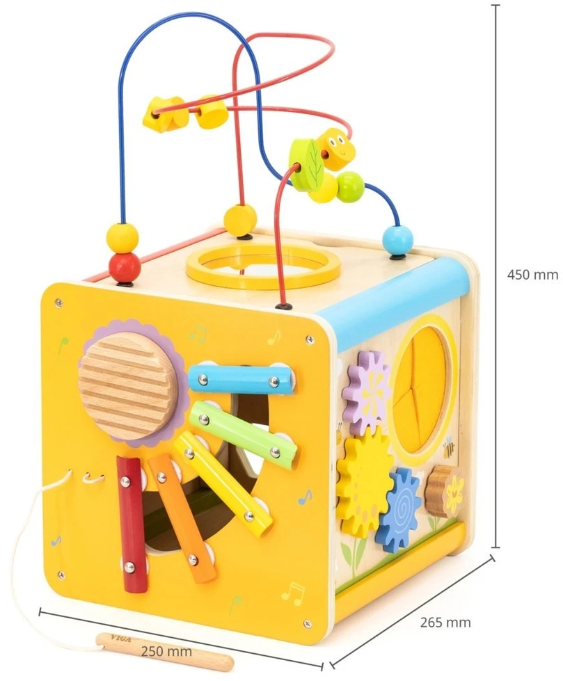 Viga Toys Lavinamasis kubas VIGA, daugiafunkcis