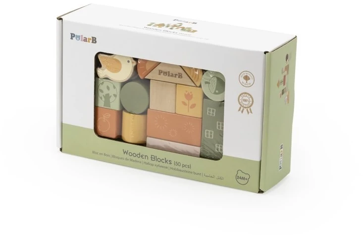 Viga Toys Medinės kaladėlės VIGA PolarB, 50 elementų