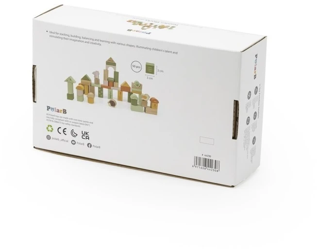 Viga Toys Medinės kaladėlės VIGA PolarB, 50 elementų
