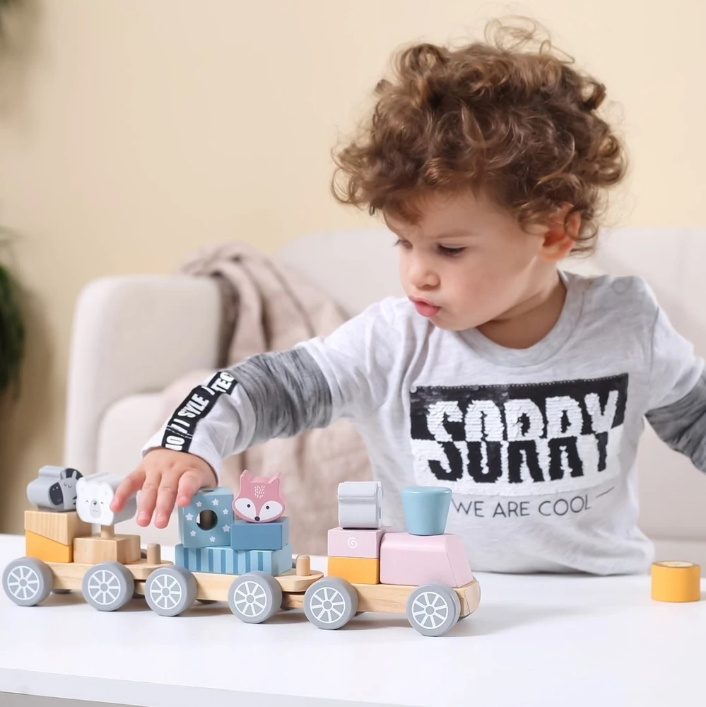 Viga Toys Medinis traukinukas Viga, su blokeliais