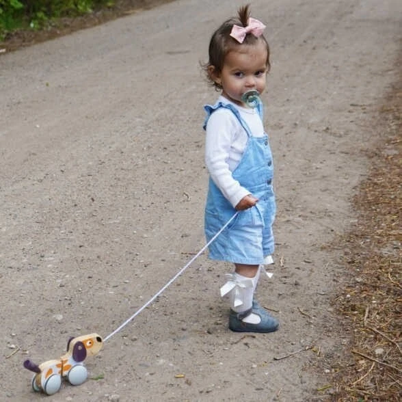 Viga Toys Žaislas šuo Viga, medinis