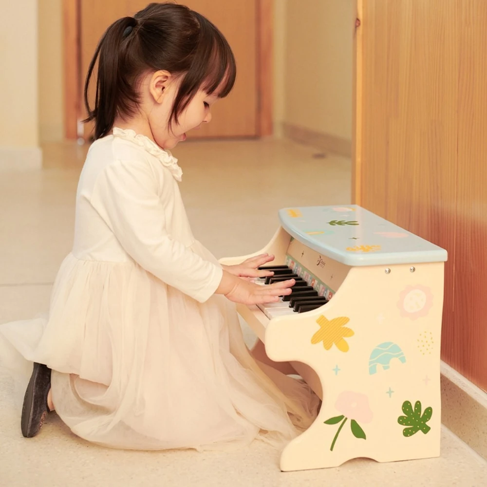 Žaislas pianinas Classic World, spalvingas