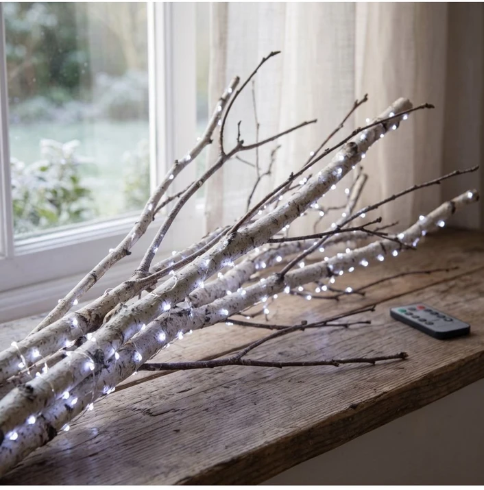 Girlianda "RASA Light" 200m, 2000 Šaltai Baltų LED