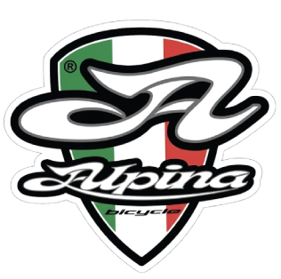 Alpina Vyriškas Retro Miesto Dviratis 28