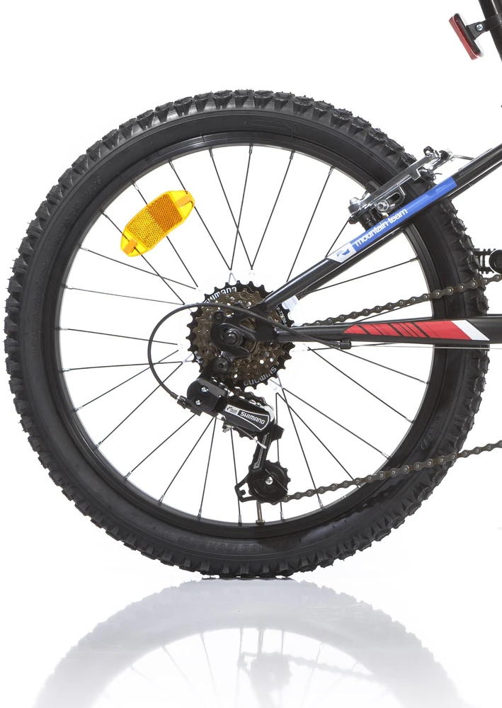 DINO BIKES dviratis 20", 420US-0406