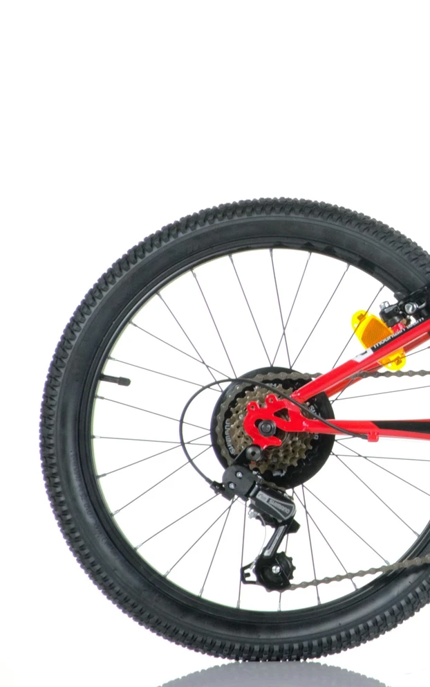 Dino Vaikiškas dviratis 20" "420 SPORT", raudonas/juodas, 6 bėgiai