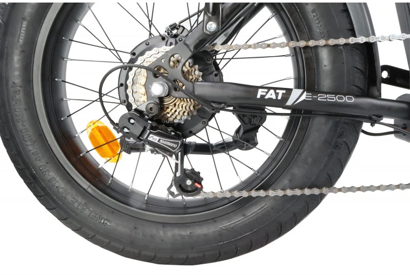 Electric bicycle Denver E2500. 20". 250 W. 10.4 Ah. juodas