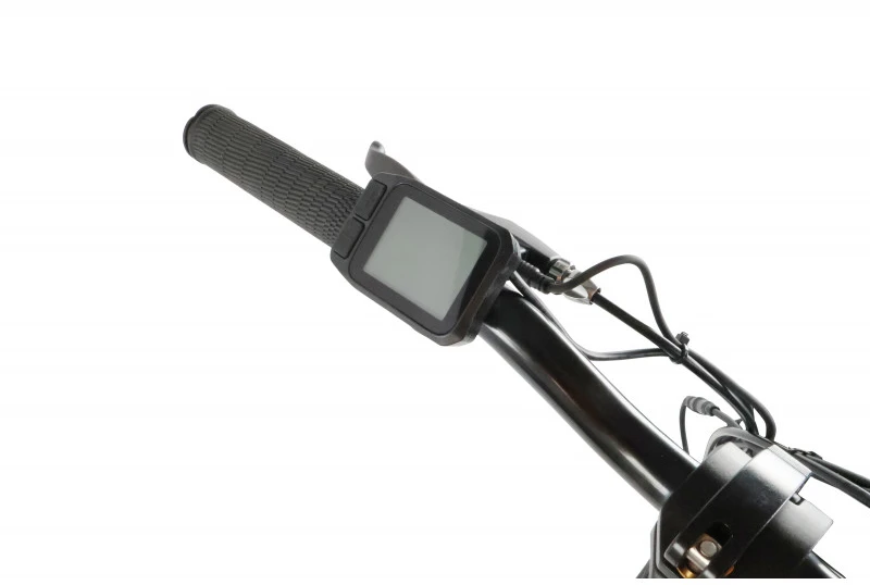 Electric bicycle Denver E2500. 20". 250 W. 10.4 Ah. juodas