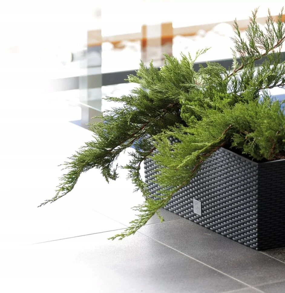 2 vnt. vazonų rinkinys balkonui Rattan Box Umbra su drėkinimo sistema