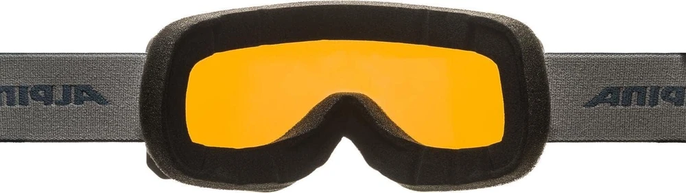 Alpina unisex Scarabeo S Q-lite slidinėjimo akiniai (1 pakuotė)